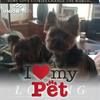 robertafuller58